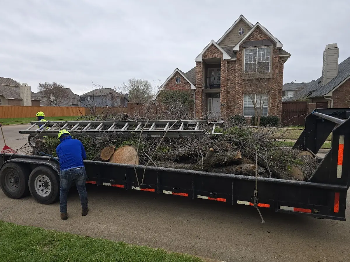 Expert Tree Pest Control with proper safety equipment in Providence